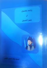 كتاب زوائد وفضول في علم الاصول