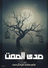 قصة صدى الصمت