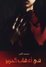 قصة في أعقاب الحرير