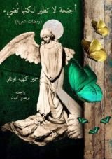 كتاب أجنحة لا تطير لكنها تضيء
