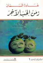 كتاب زمن الحب الآخر