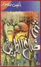 كتاب ثم ضاع الطريق