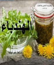 كتاب الهندباء