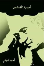 كتاب أميرة الأندلس