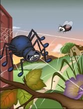 كتاب العنكب الحزين