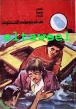 كتاب لغز الدبلوماسي المخطوف