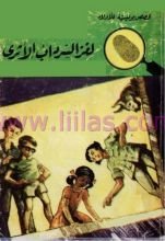 كتاب لغز السرداب الأثري