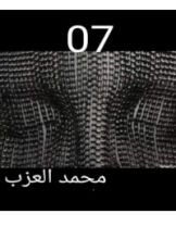 قصة 07 - الأخير