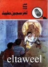 كتاب لغز سجين طيبة