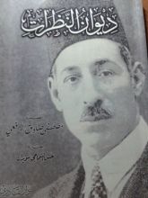 كتاب ديوان النظرات