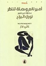 رواية أمير نائم وحملة تنتظر