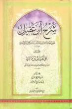 كتاب شرح ابن عقيل وبهامشه