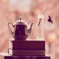 كتاب الأمثال والحكم