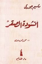 كتاب أنشودة الصقر