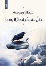 كتاب ظل متحجر لطائر لا يهدأ