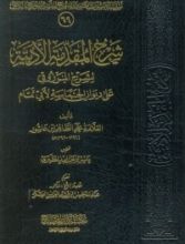 كتاب شرح المقدمة الأدبية لشرح المرزوقي على ديوان الحماسة لأبي تمام