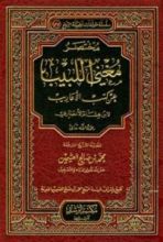 كتاب مختصر مغني اللبيب عن كتب الأعاريب