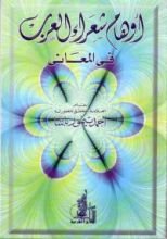 كتاب أوهام شعراء العرب في المعاني