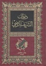 كتاب ديوان الشريف الرضي 2