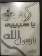 كتاب يا حبيبي يا رسول الله
