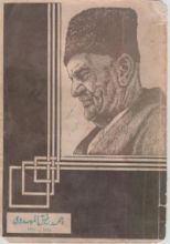 كتاب ديوان شاعر الوطن الكبير