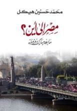 كتاب مصر إلى أين؟