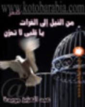 كتاب من النيل إلى الفرات يا قلبي لا تحزن