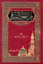 كتاب من معين السيرة