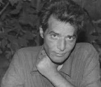 كتاب أفكار جنونية فى دفتر هاملت