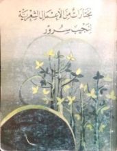 كتاب مختارات من الاعمال الشعرية لنجيب سرور