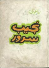كتاب رباعيات نجيب سرور