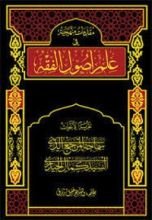 كتاب مقدمات منهجية في علم أصول الفقه