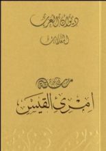 كتاب ديوان العرب