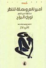 كتاب أمير نائم وحملة تنتظر