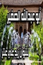 كتاب أبو عبدالله الصغير
