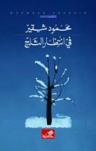 رواية في انتظار الثلج