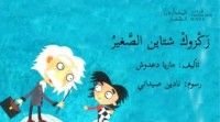 كتاب زكزوك شتاين الصغير