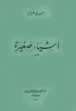 كتاب أشياء صغيرة