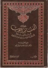 كتاب أيام العرب قبل الإسلام