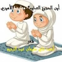 كتاب أين الضجيج العذب؟ - معارضة للأميري
