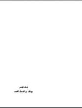 كتاب اسئلة الشعر