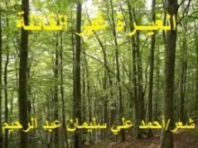 كتاب الغيــرة غير القاتلة