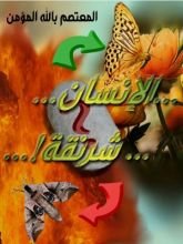 كتاب الإنسان شرنقة