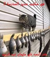 كتاب في مكتب مدير المدرسة 2