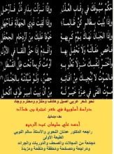 كتاب دراسة أسلوبية في شعر عنترة!