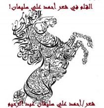 كتاب القلم في شعر أحمد علي سليمان!
