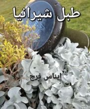 رواية طبل شيرانيا