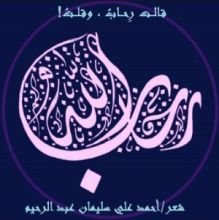 كتاب قالت رحاب ، وقلت