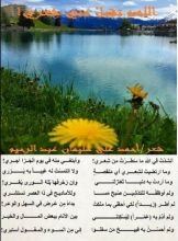 كتاب ديوان اللهم تقبل شعري