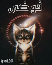 كتاب فوضى